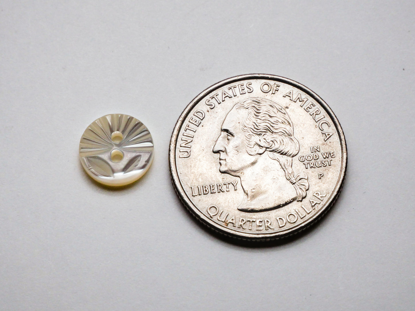 Sun Rays Fan Carved Mother of Pearl Button 10mm
