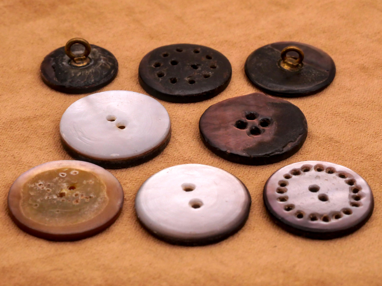 Sun Celestial Carved Smokey Mother of Pearl Button Various 13-18mm