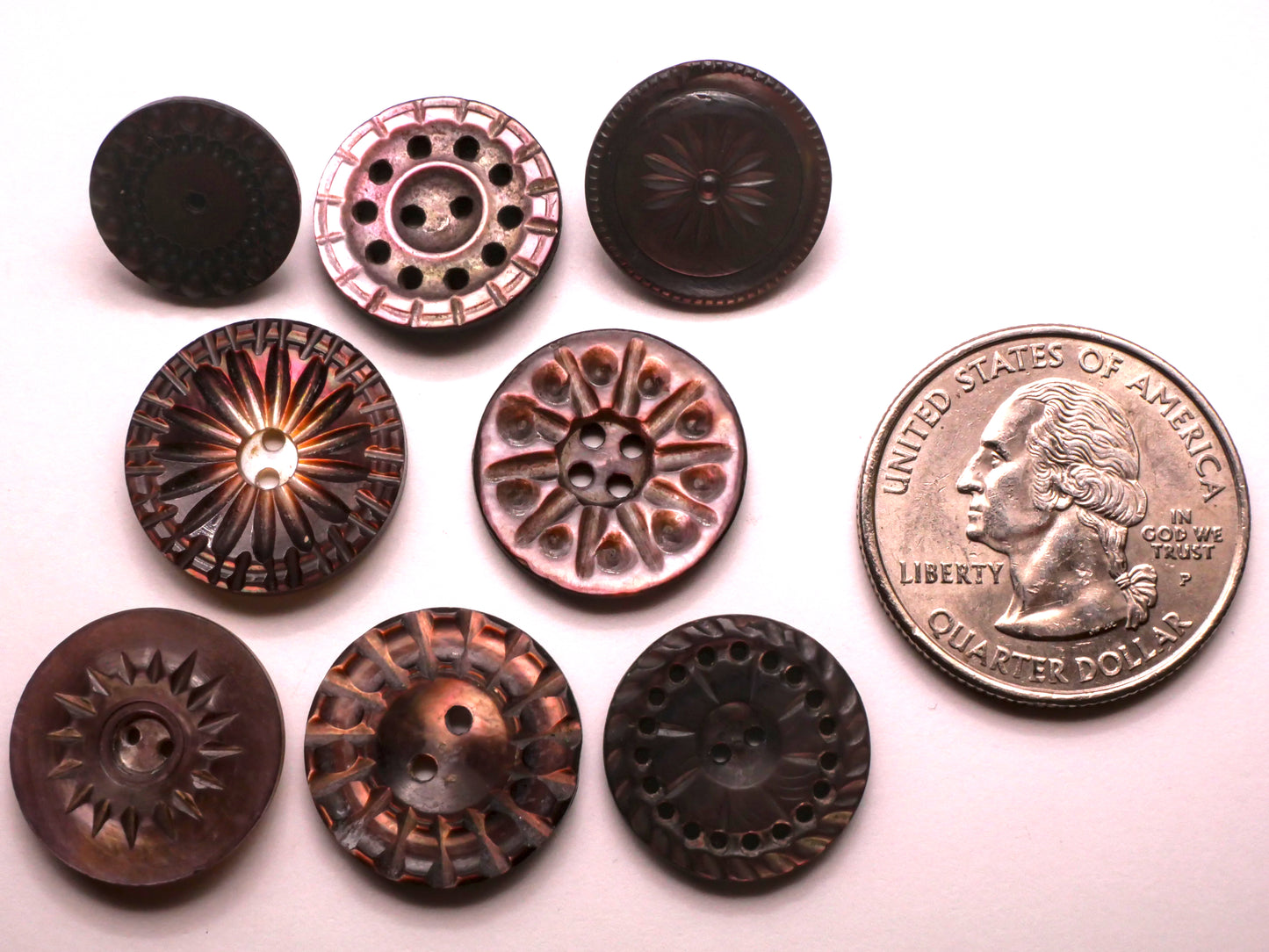 Sun Celestial Carved Smokey Mother of Pearl Button Various 13-18mm