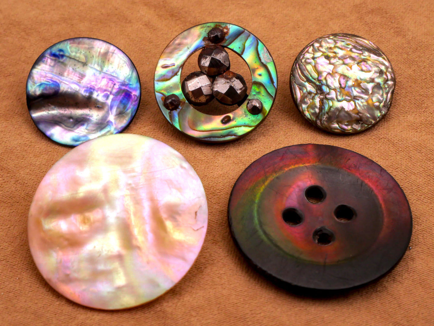 Abalone Mother of Pearl Shell Button Various 16-25mm