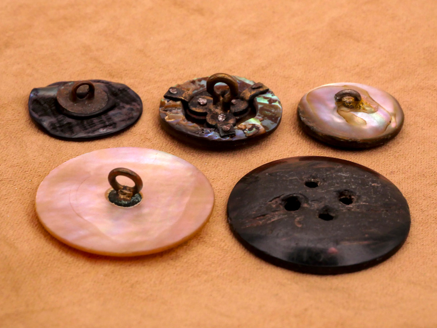 Abalone Mother of Pearl Shell Button Various 16-25mm