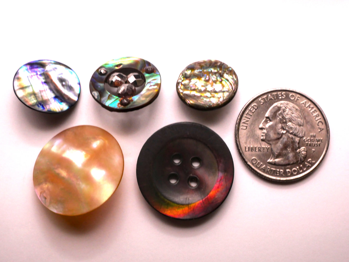 Abalone Mother of Pearl Shell Button Various 16-25mm