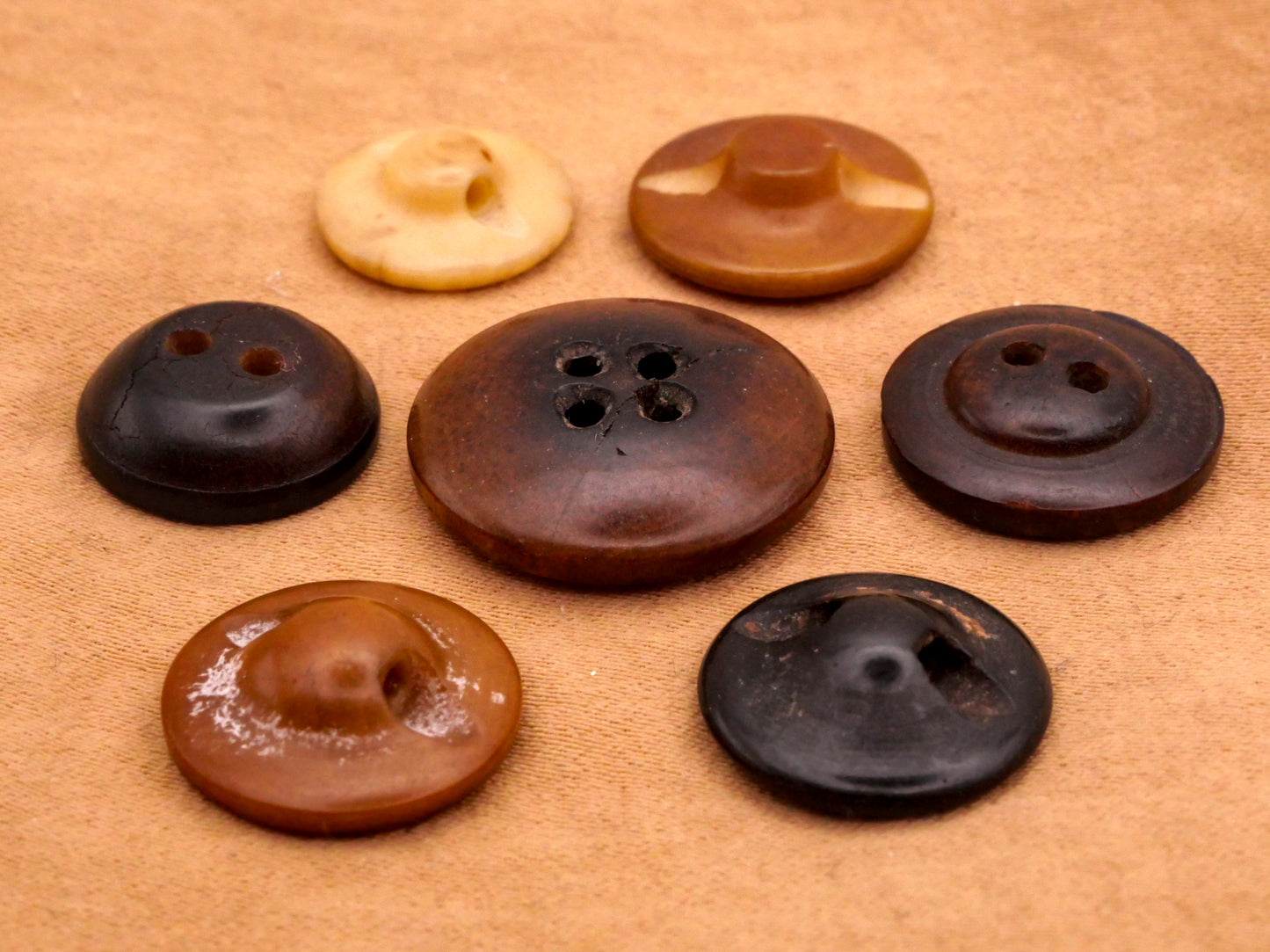Plaid Vegetable Ivory Tagua Nut Button Various 13-19mm
