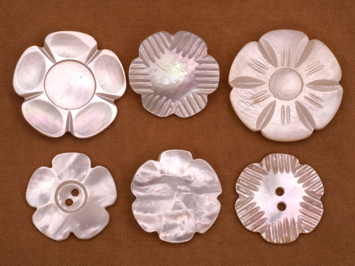 Flower Scalloped Petals Mother of Pearl Shell Button Various 22-27mm