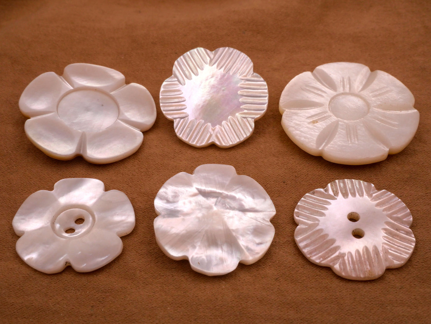 Flower Scalloped Petals Mother of Pearl Shell Button Various 22-27mm