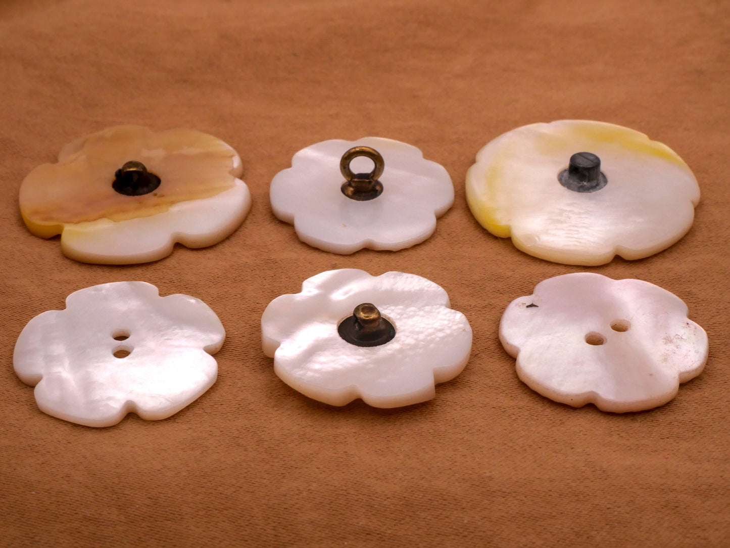 Flower Scalloped Petals Mother of Pearl Shell Button Various 22-27mm