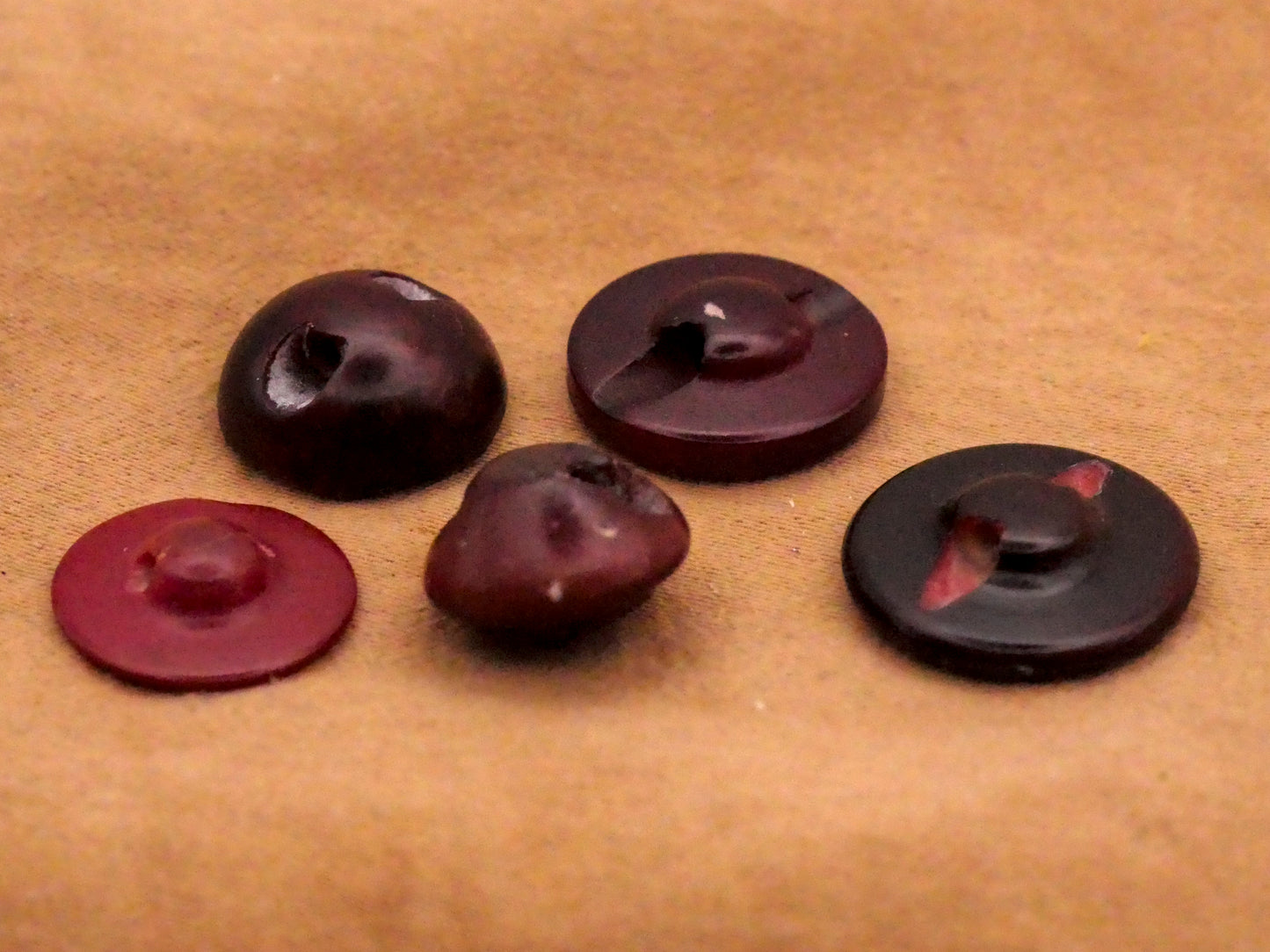 Red Vibrant Dyed Vegetable Ivory Tagua Nut Button Various 11-15mm