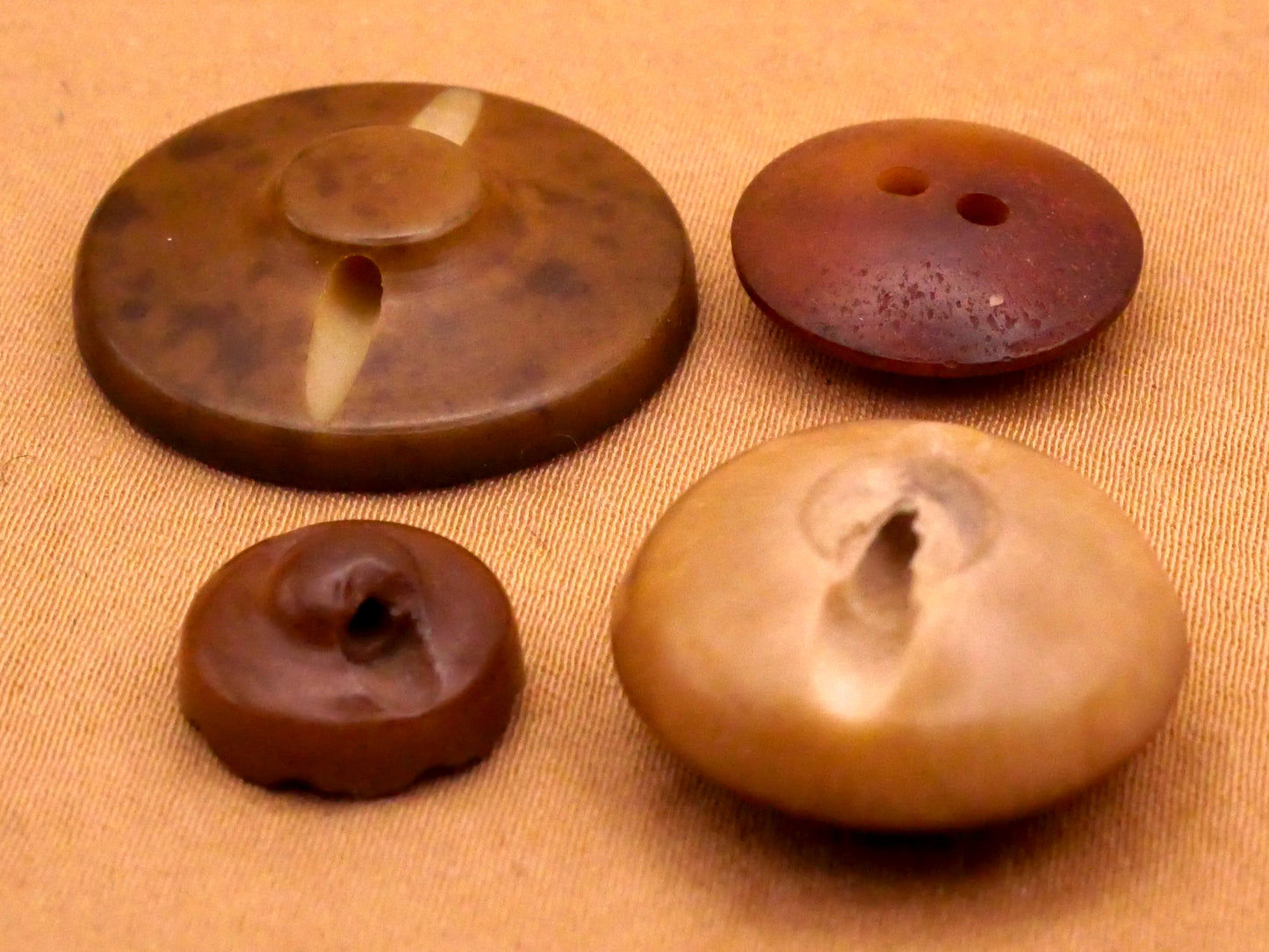 Sun Design Vegetable Ivory Tagua Nut Button Various 12-23mm