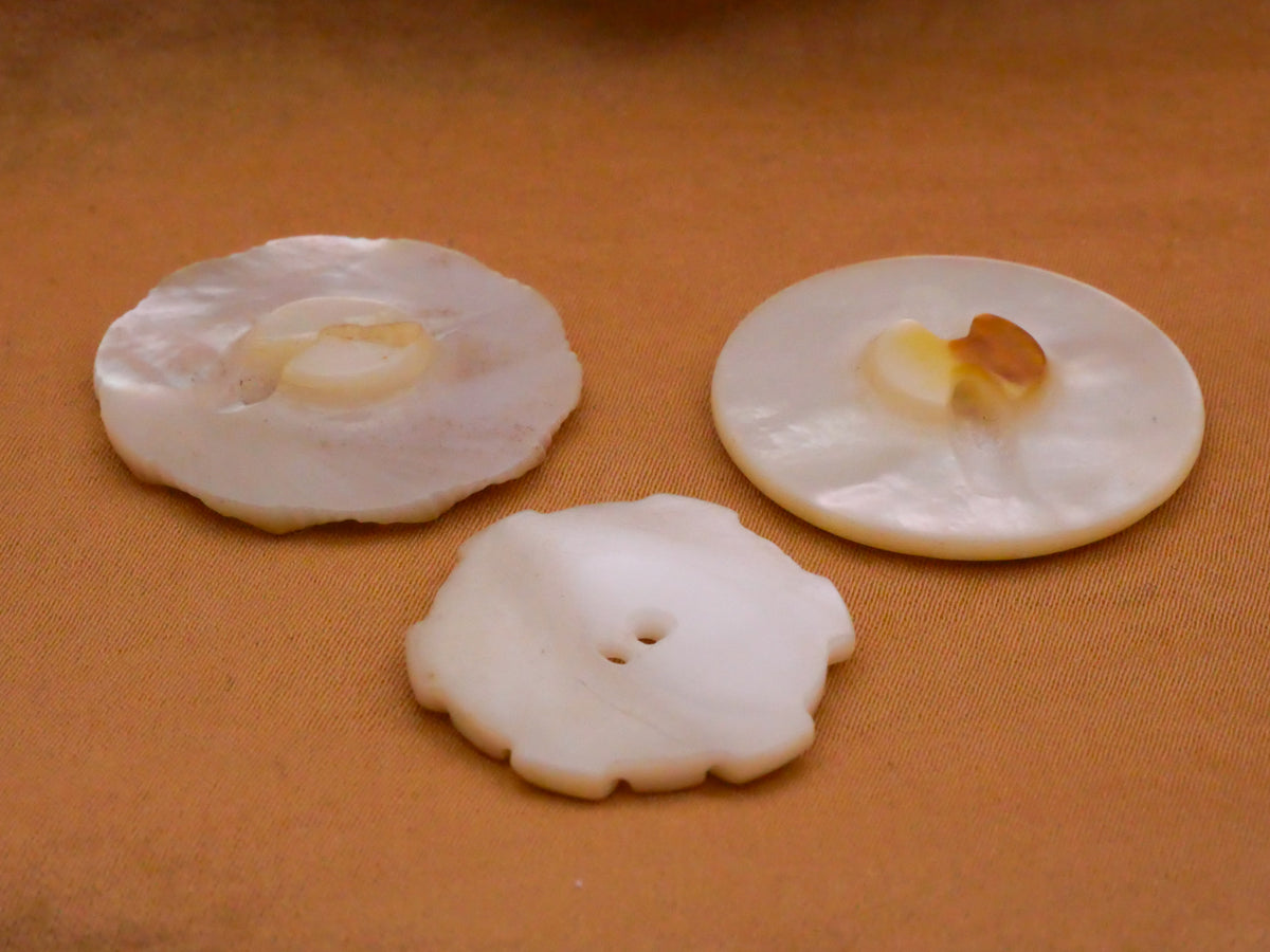 Radial Design Carved Mother of Pearl Shell Button Various 23-28mm
