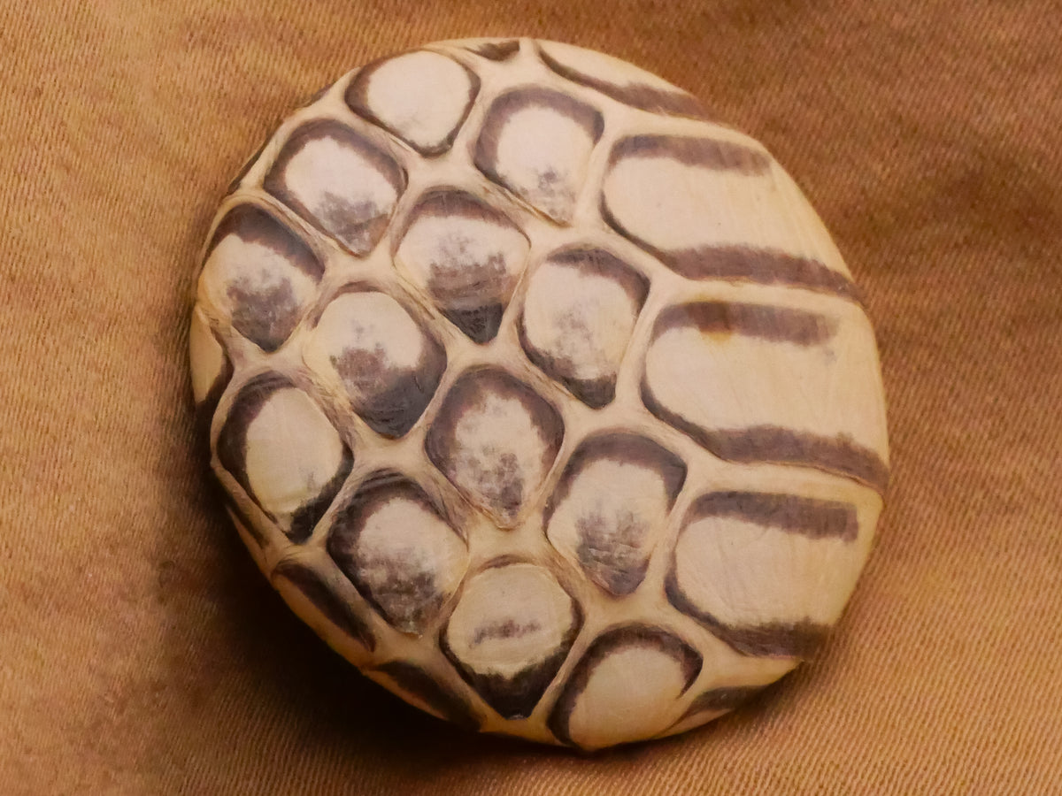 Snake Skin Scales Real Covered Button 28mm