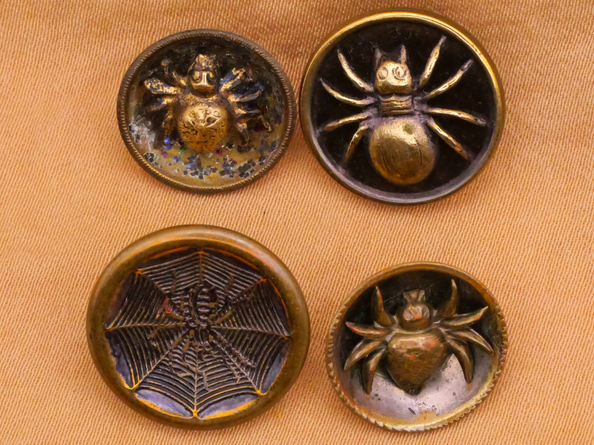 Spider Insect Victorian Metal Button Various 13-17mm