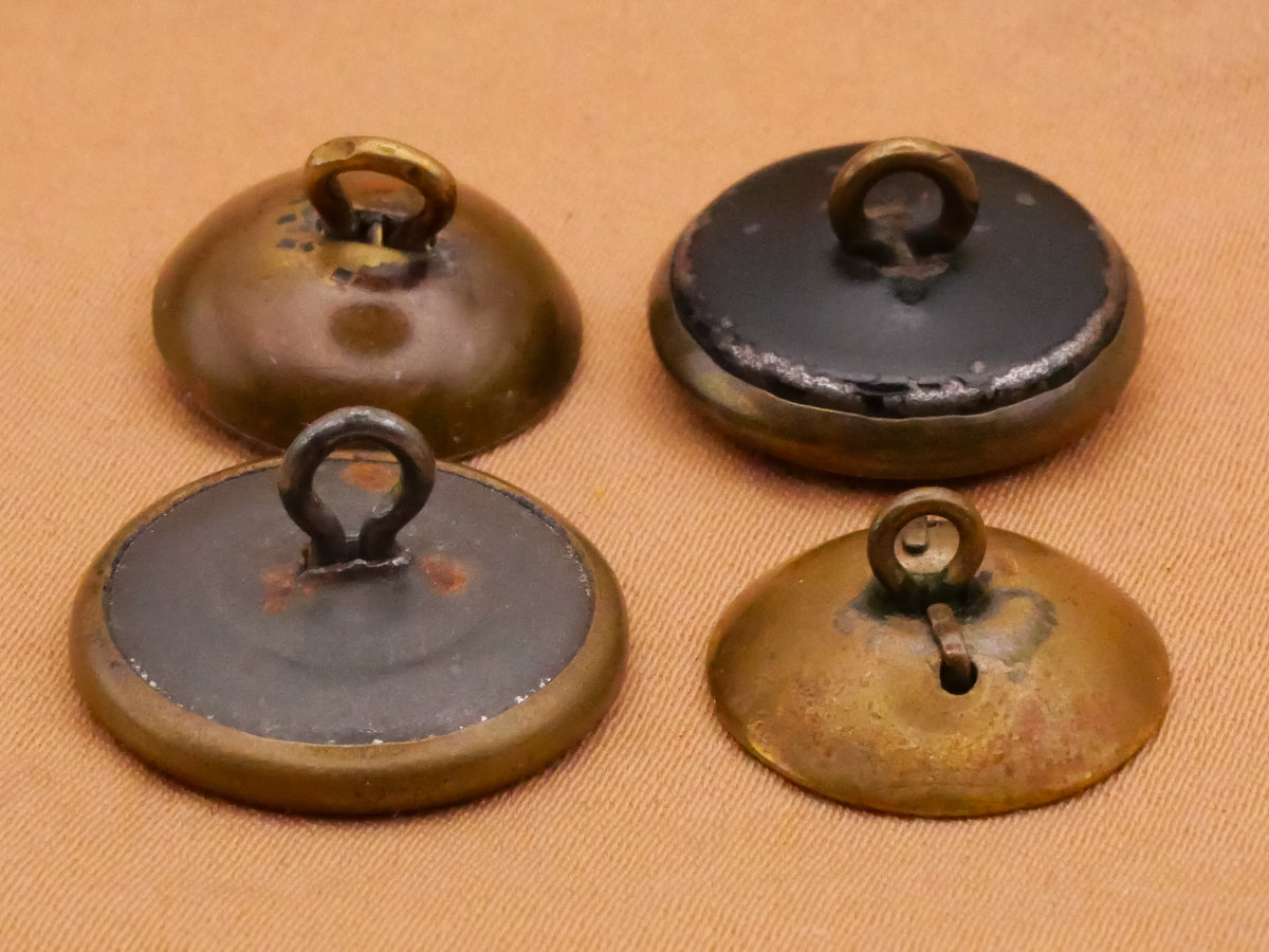 Spider Insect Victorian Metal Button Various 13-17mm