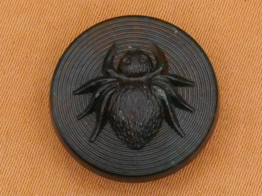 Spider Insect Rubber Composite Early Plastic Button 18mm