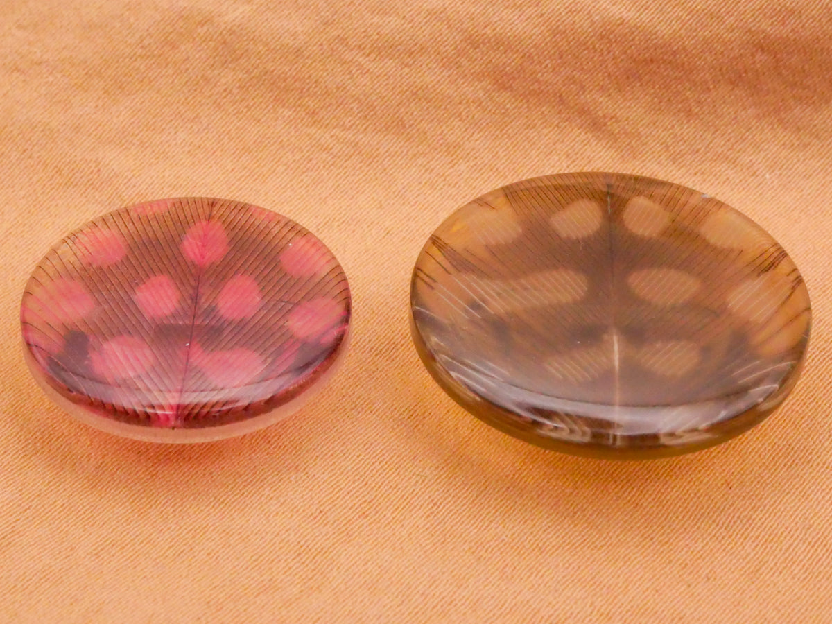 Spotted Feather Habitat Like Design in Plastic Button Various 20-24mm