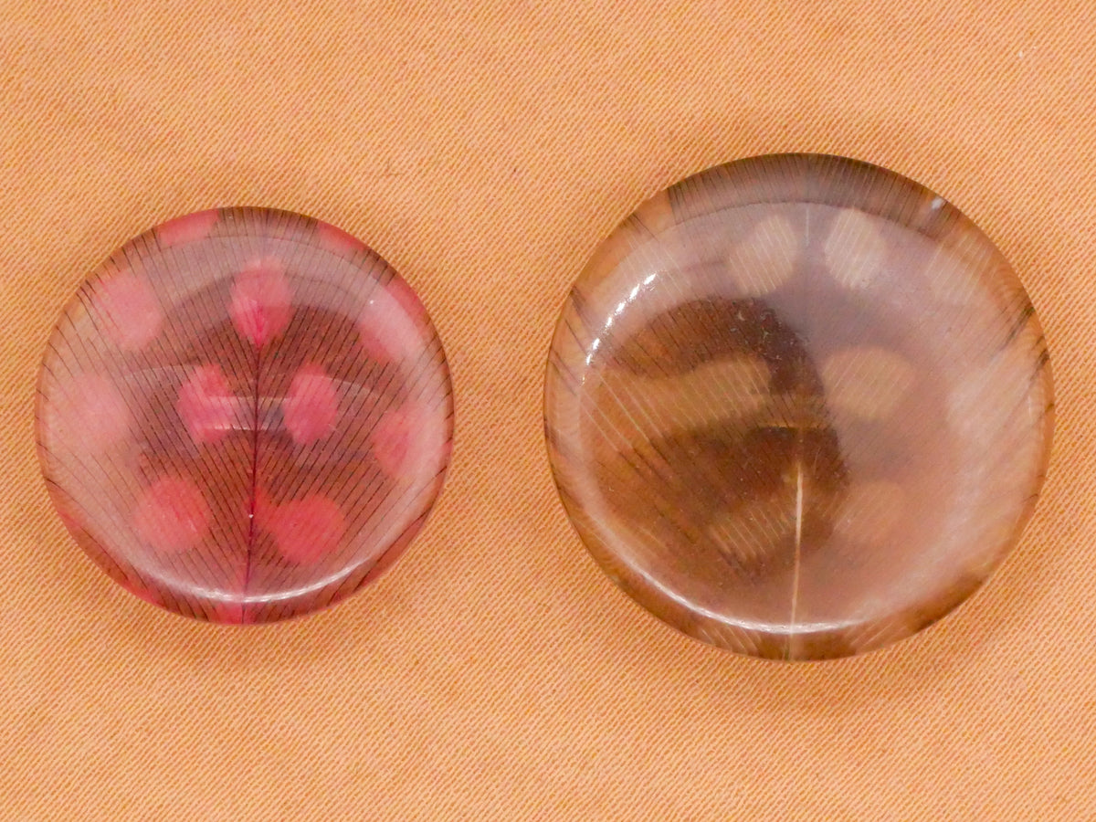 Spotted Feather Habitat Like Design in Plastic Button Various 20-24mm