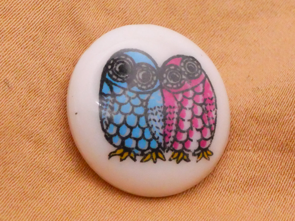 Owl Friends Teal Fuchsia White Plastic Button 19mm