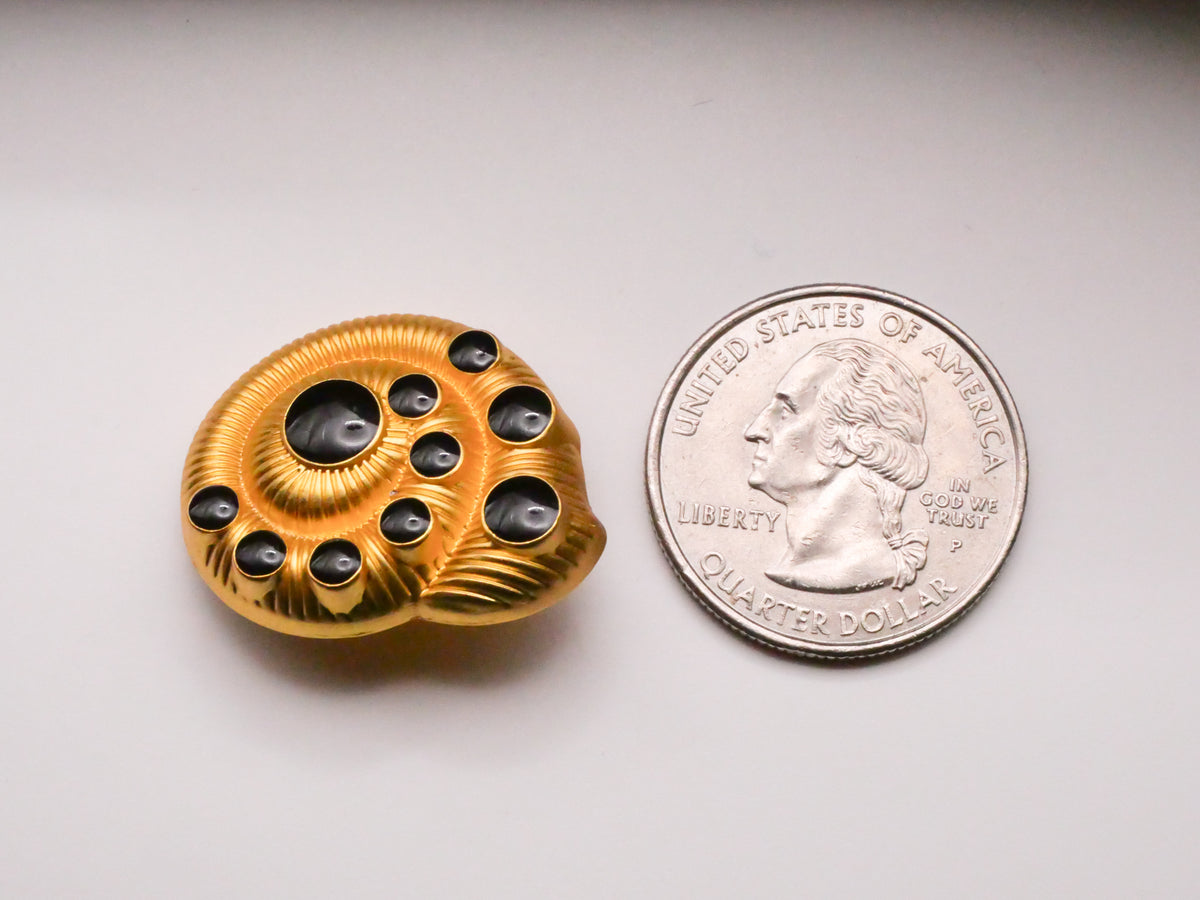 Spotted Nautilus Shell Gold Metal Button 22x27mm