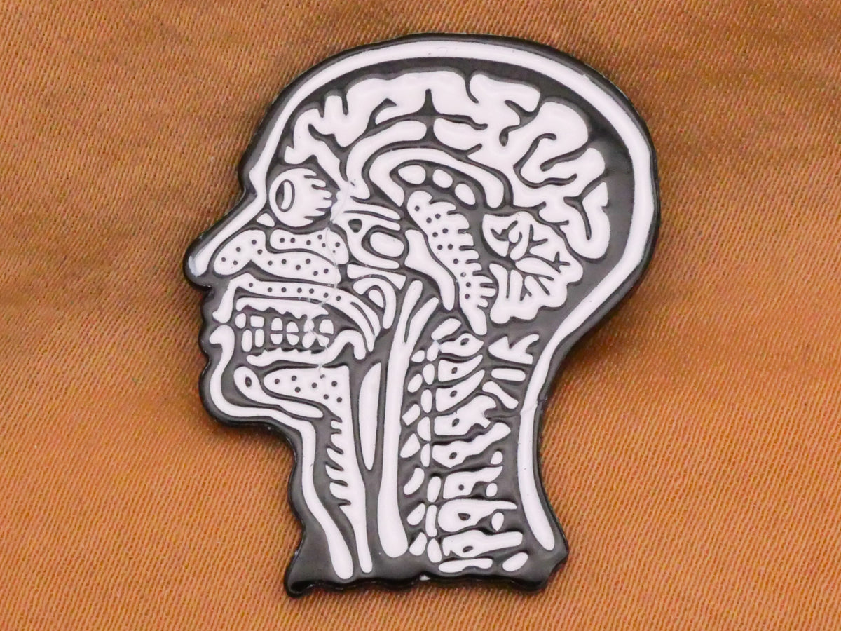 Human Head Anatomy Section View Enamel Metal Button 23x30mm