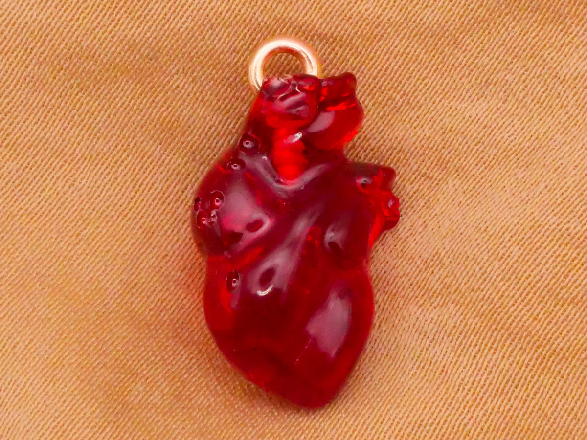 Heart Anatomical Translucent Red Plastic Charm Pendant Embellishment 11x20mm