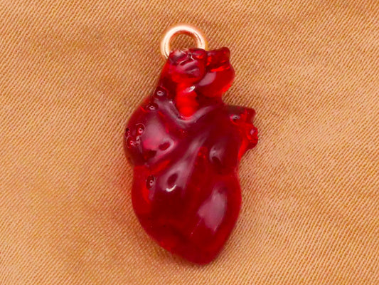 Heart Anatomical Translucent Red Plastic Charm Pendant Embellishment 11x20mm