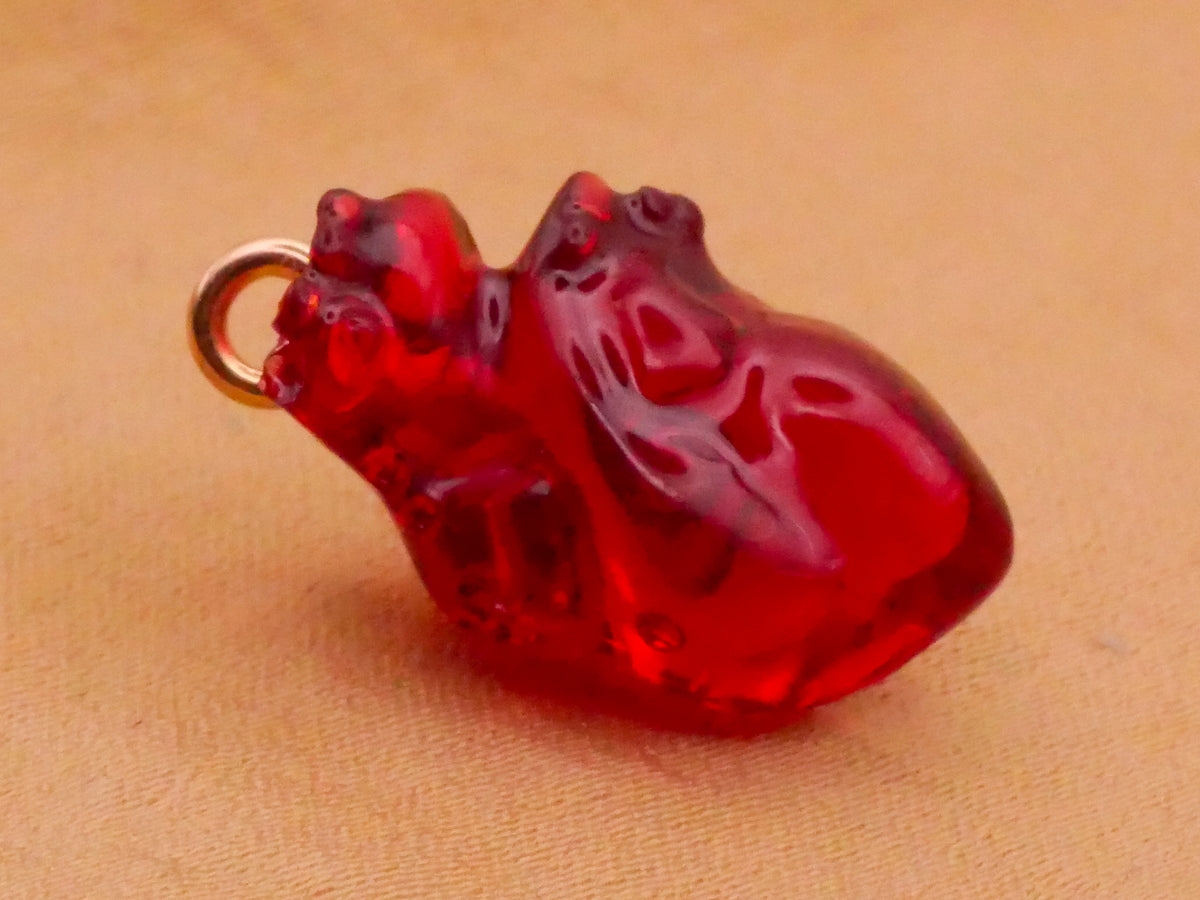 Heart Anatomical Translucent Red Plastic Charm Pendant Embellishment 11x20mm