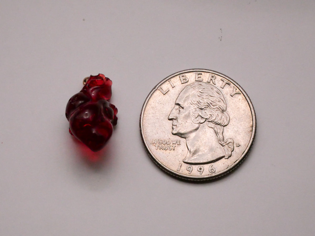 Heart Anatomical Translucent Red Plastic Charm Pendant Embellishment 11x20mm