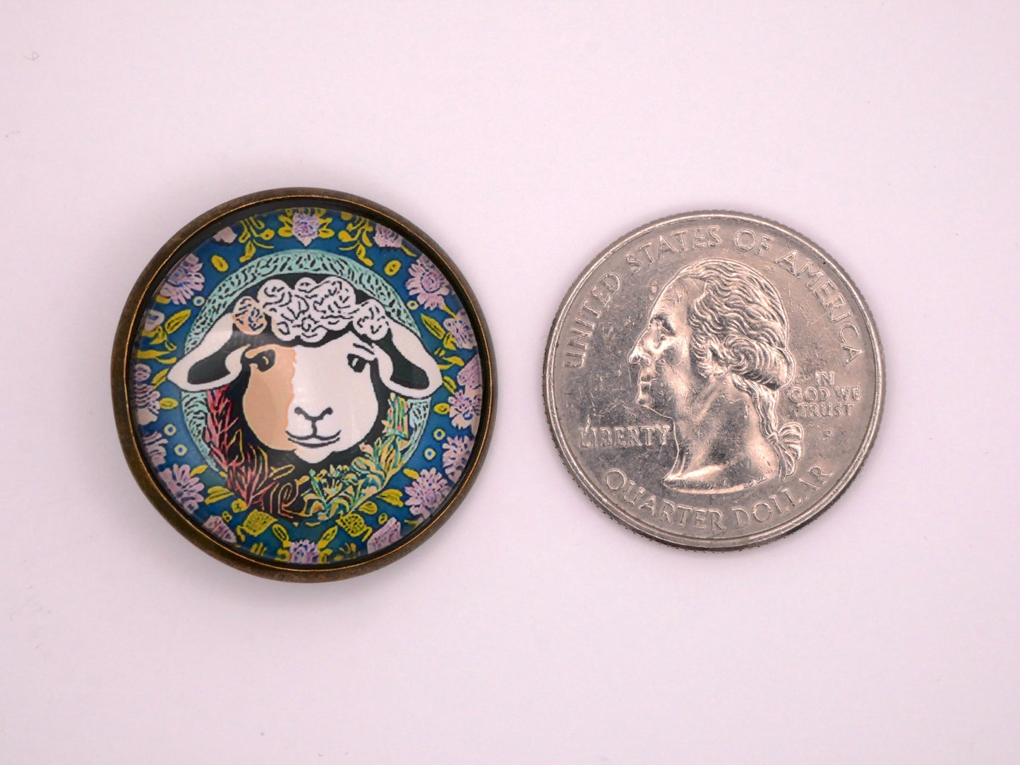 Curly Sheep Lamb Flower Garden Glass Dome Button 27mm